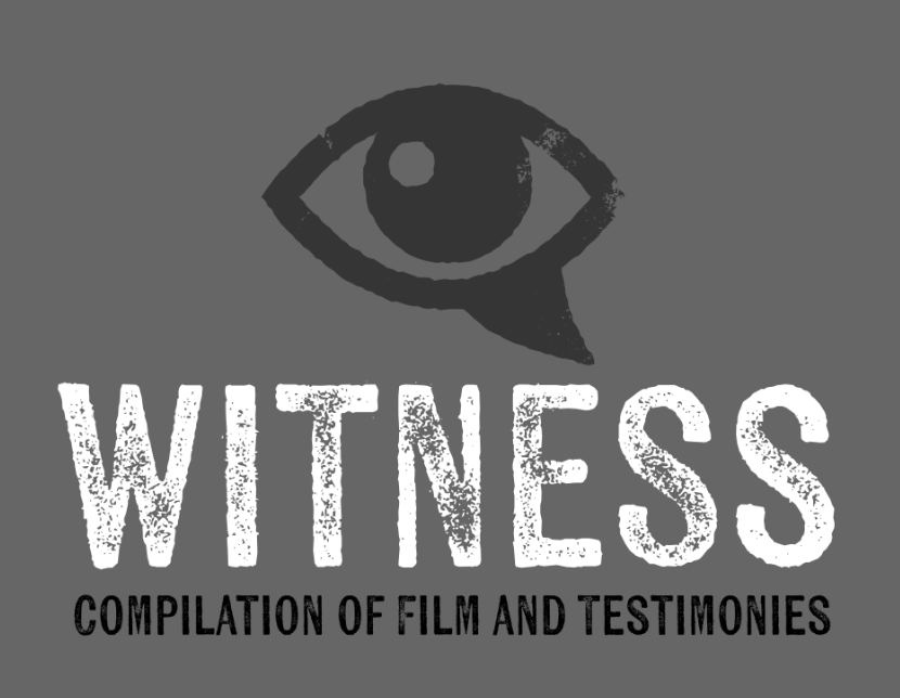 Witness что это